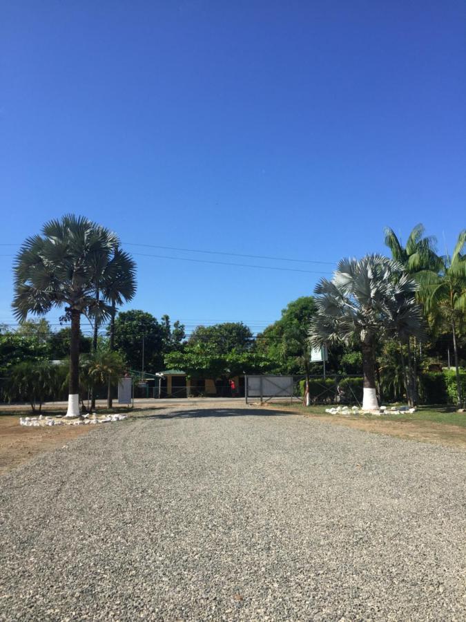Hotel Las Palmas De Osa Ciudad Cortés Esterno foto